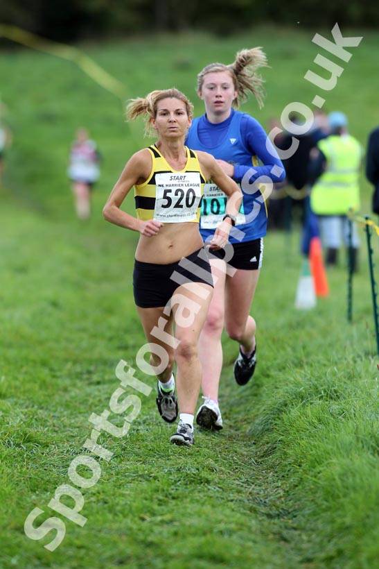 White 520, North-East Harriers League, Cramlington